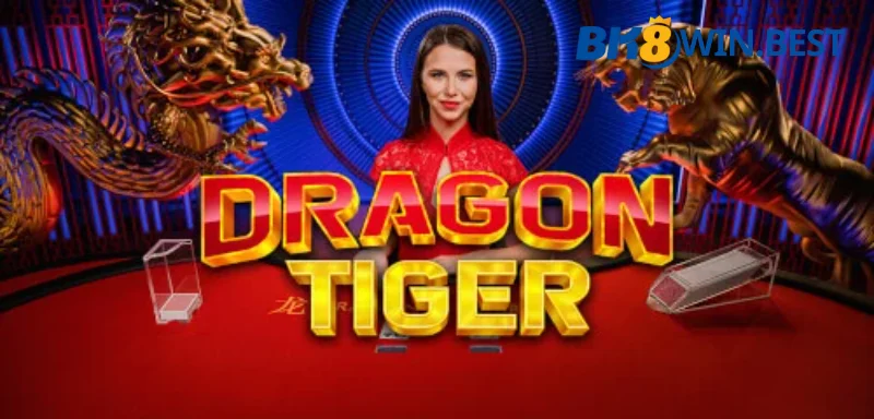 Sơ lược về Dragon Tiger BK8
